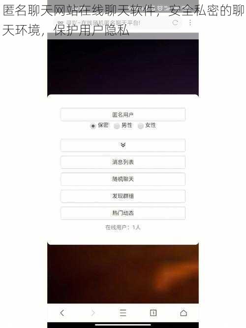 匿名聊天网站在线聊天软件，安全私密的聊天环境，保护用户隐私