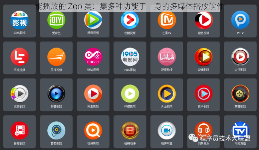 能播放的 Zoo 类:集多种功能于一身的多媒体播放软件