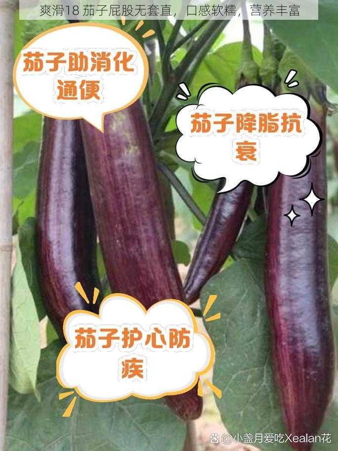 爽滑18 茄子屁股无套直，口感软糯，营养丰富