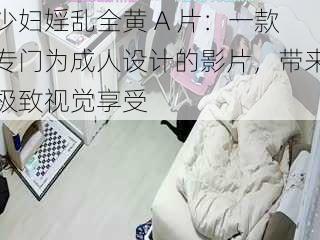 少妇婬乱全黄 A 片:一款专门为成人设计的影片,带来极致视觉享受