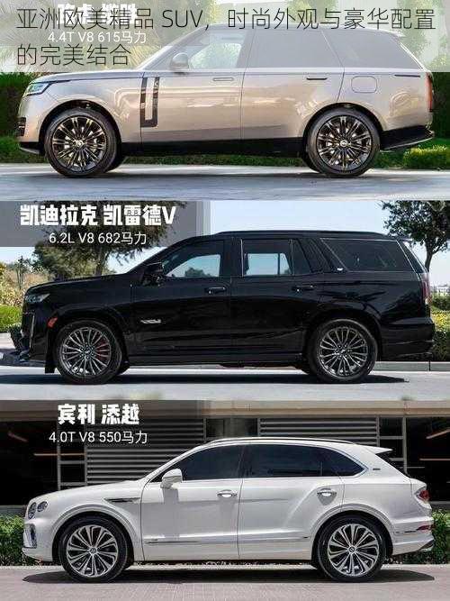 亚洲欧美精品 SUV,时尚外观与豪华配置的完美结合