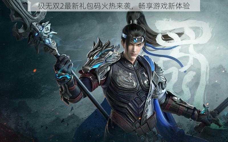 极无双2最新礼包码火热来袭,畅享游戏新体验