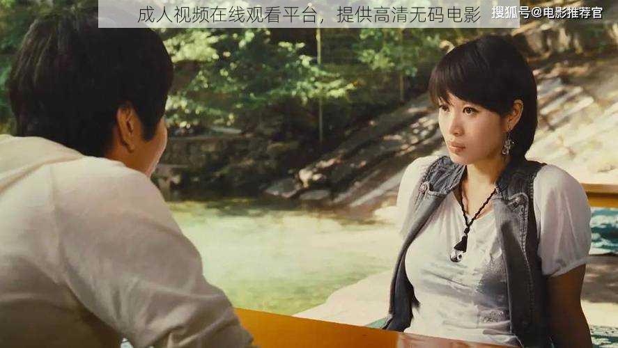 成人视频在线观看平台,提供高清无码电影