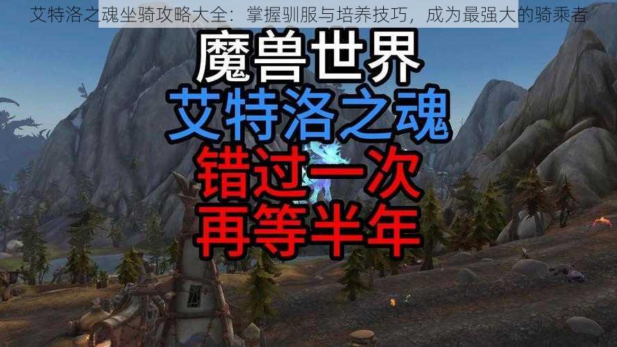 艾特洛之魂坐骑攻略大全：掌握驯服与培养技巧，成为最强大的骑乘者