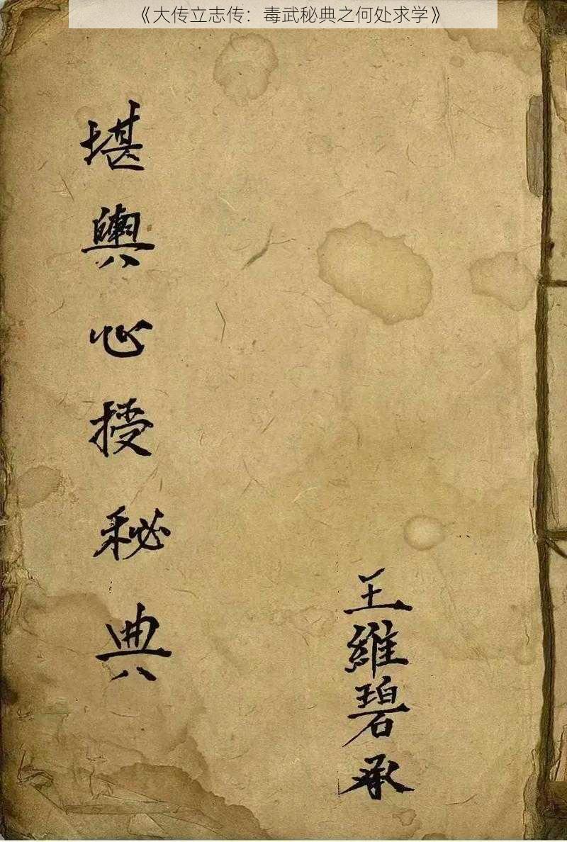 《大传立志传:毒武秘典之何处求学》