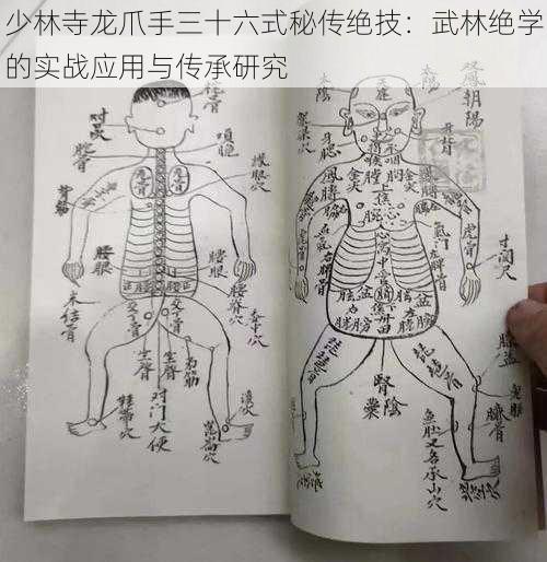 少林寺龙爪手三十六式秘传绝技：武林绝学的实战应用与传承研究