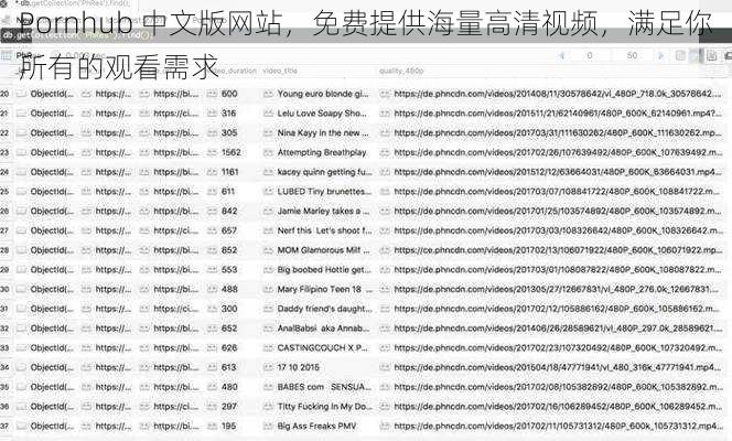 Pornhub 中文版网站,免费提供海量高清视频,满足你所有的观看需求