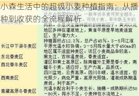 小森生活中的超级小麦种植指南:从播种到收获的全流程解析