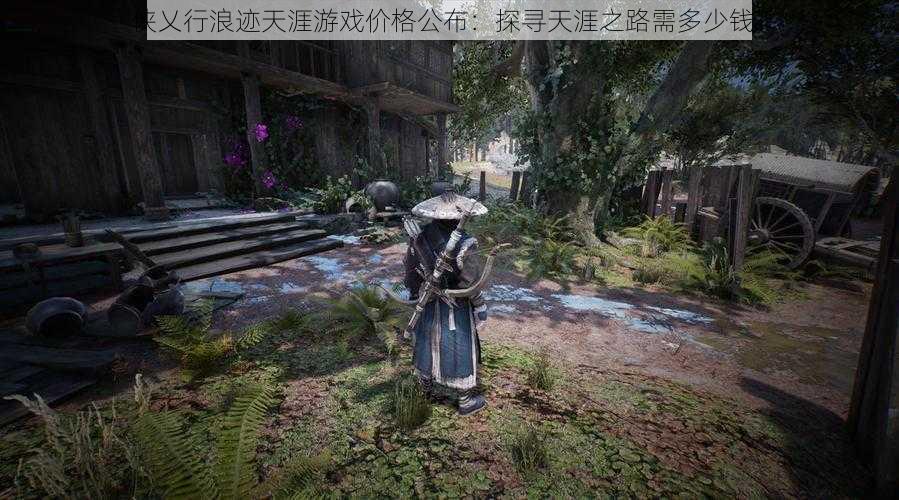 侠乂行浪迹天涯游戏价格公布:探寻天涯之路需多少钱?