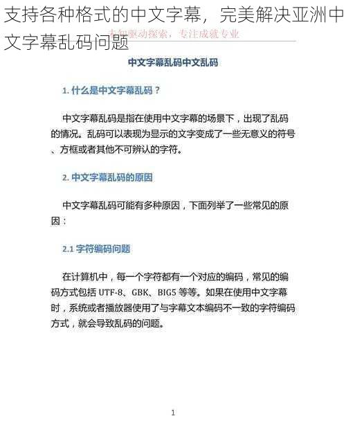 支持各种格式的中文字幕,完美解决亚洲中文字幕乱码问题