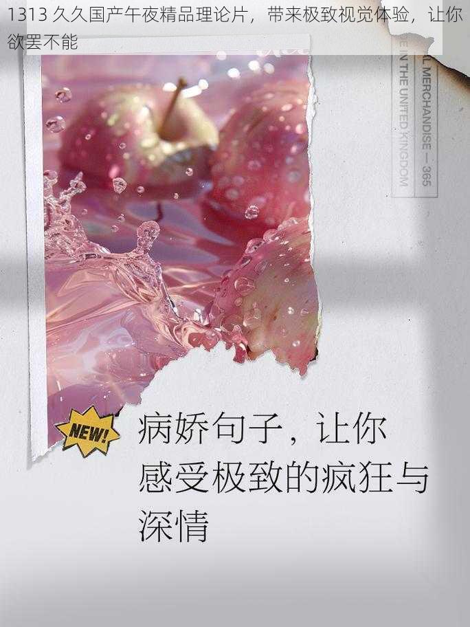 1313 久久国产午夜精品理论片,带来极致视觉体验,让你欲罢不能