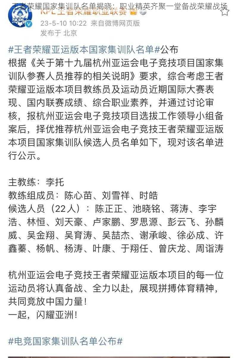 王者荣耀国家集训队名单揭晓：职业精英齐聚一堂备战荣耀战场