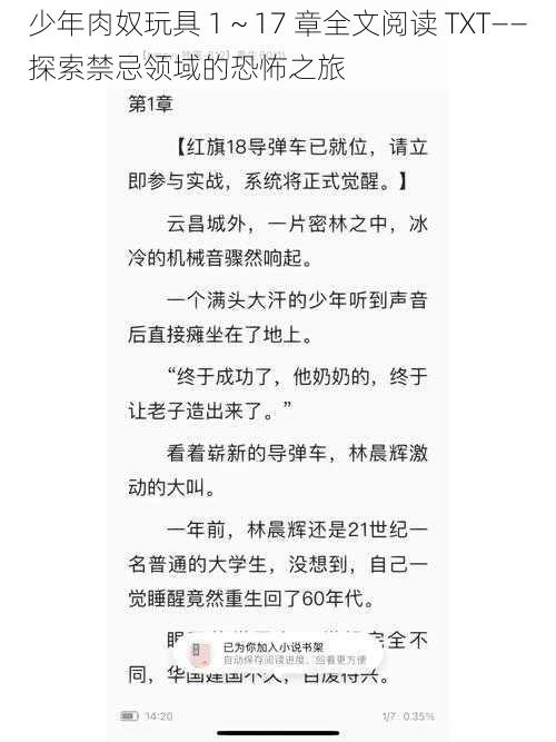 少年肉奴玩具 1～17 章全文阅读 TXT——探索禁忌领域的恐怖之旅