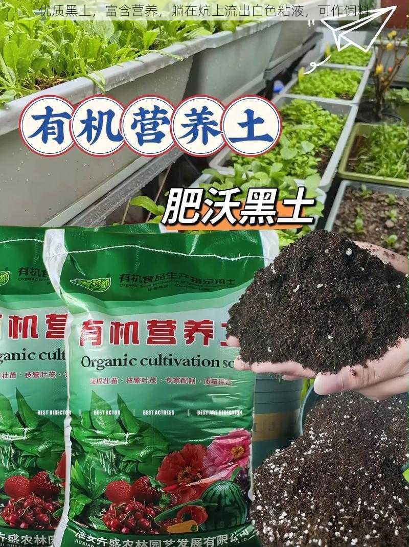 优质黑土，富含营养，躺在炕上流出白色粘液，可作饲料