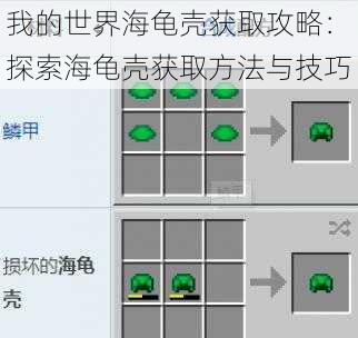 我的世界海龟壳获取攻略：探索海龟壳获取方法与技巧