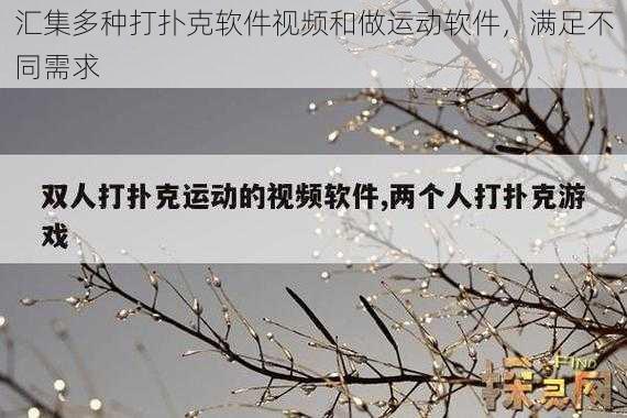 汇集多种打扑克软件视频和做运动软件，满足不同需求