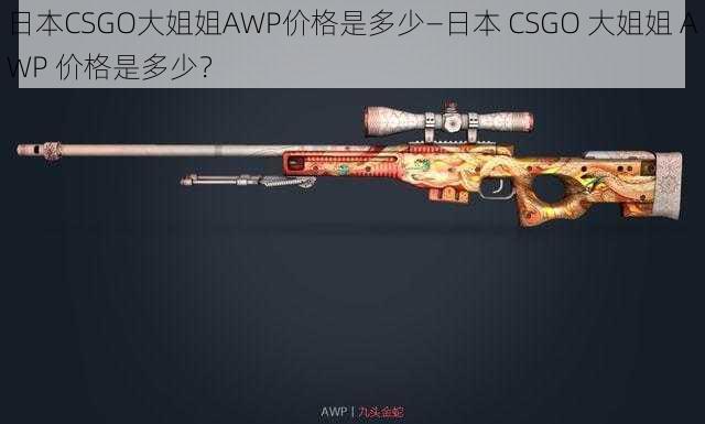 日本CSGO大姐姐AWP价格是多少—日本 CSGO 大姐姐 AWP 价格是多少？