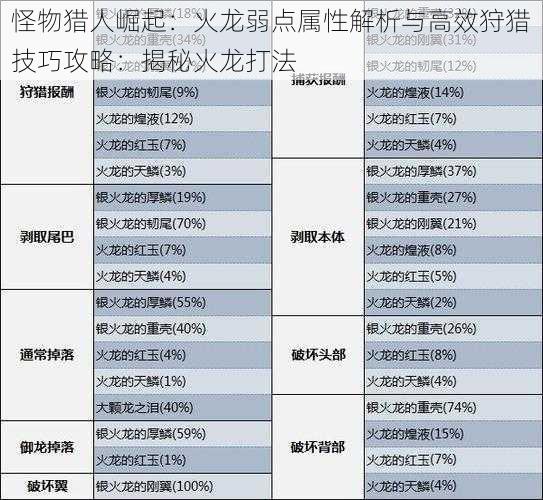 怪物猎人崛起：火龙弱点属性解析与高效狩猎技巧攻略：揭秘火龙打法