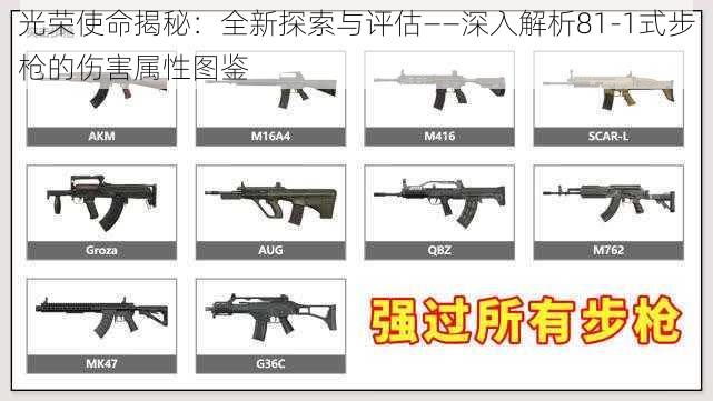 光荣使命揭秘：全新探索与评估——深入解析81-1式步枪的伤害属性图鉴