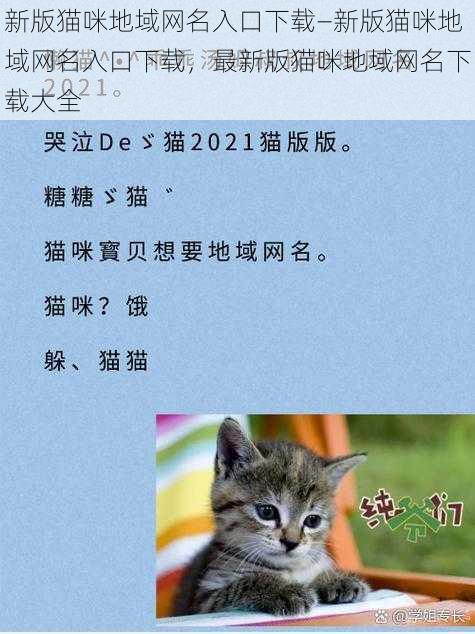 新版猫咪地域网名入口下载—新版猫咪地域网名入口下载，最新版猫咪地域网名下载大全