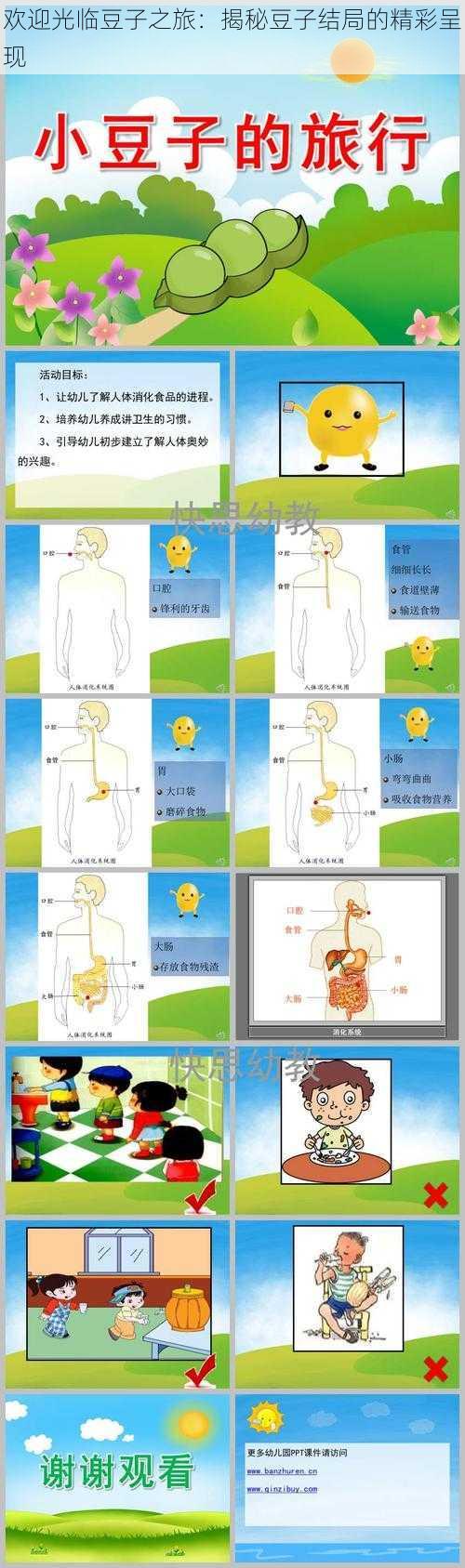 欢迎光临豆子之旅：揭秘豆子结局的精彩呈现