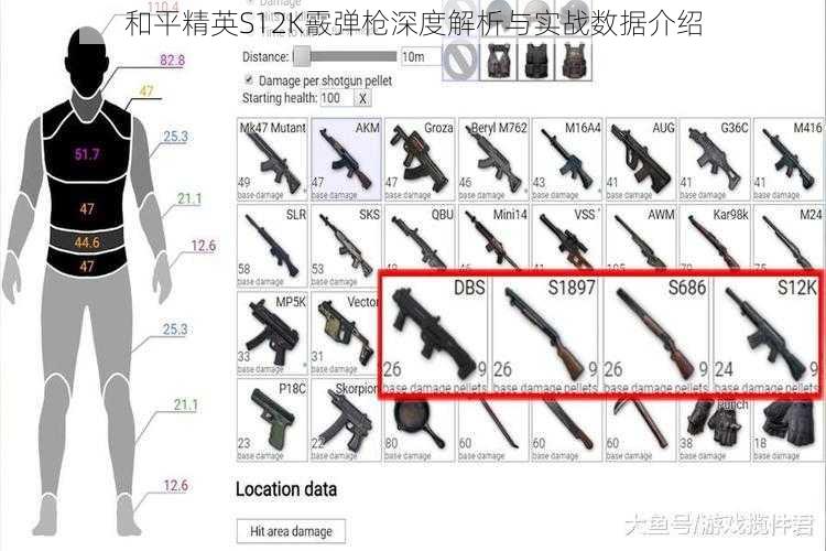 和平精英S12K霰弹枪深度解析与实战数据介绍