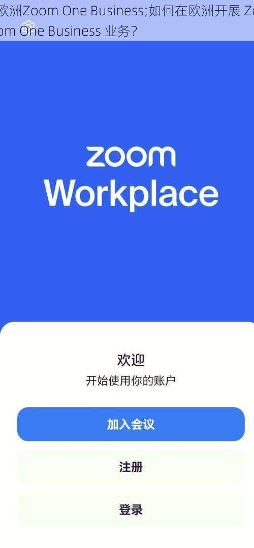 欧洲Zoom One Business;如何在欧洲开展 Zoom One Business 业务？