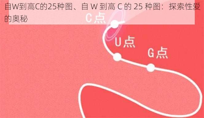 自W到高C的25种图、自 W 到高 C 的 25 种图：探索性爱的奥秘