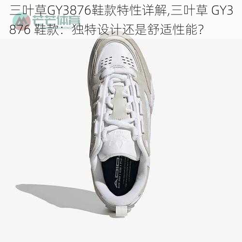 三叶草GY3876鞋款特性详解,三叶草 GY3876 鞋款：独特设计还是舒适性能？