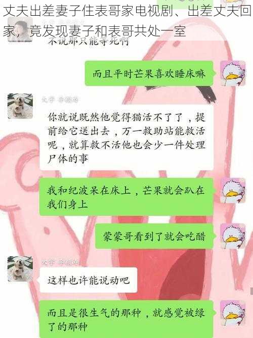 丈夫出差妻子住表哥家电视剧、出差丈夫回家，竟发现妻子和表哥共处一室