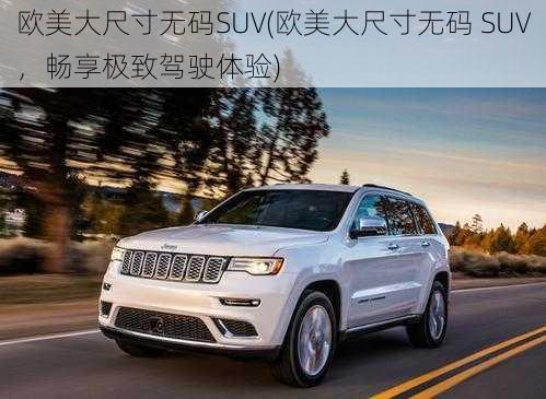 欧美大尺寸无码SUV(欧美大尺寸无码 SUV，畅享极致驾驶体验)