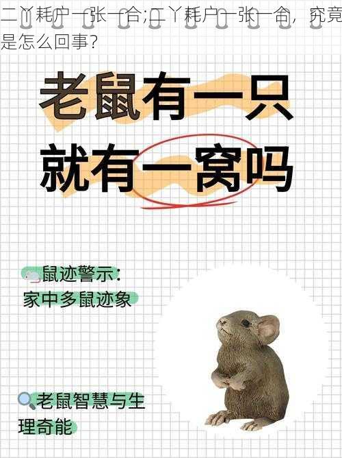 二丫耗户一张一合;二丫耗户一张一合，究竟是怎么回事？