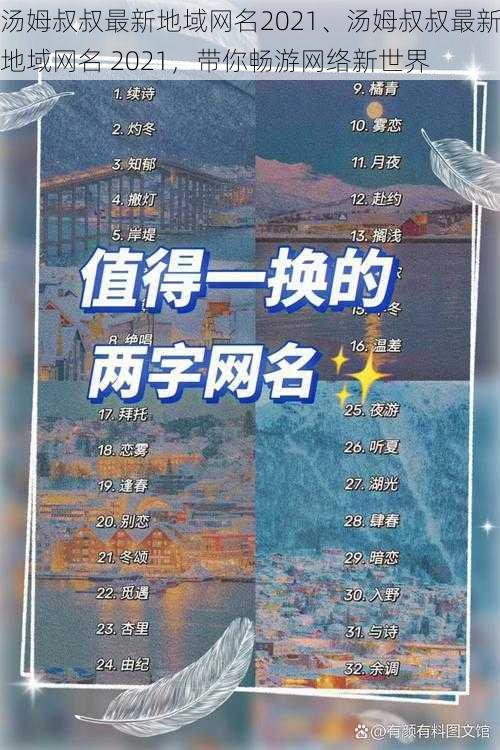 汤姆叔叔最新地域网名2021、汤姆叔叔最新地域网名 2021，带你畅游网络新世界