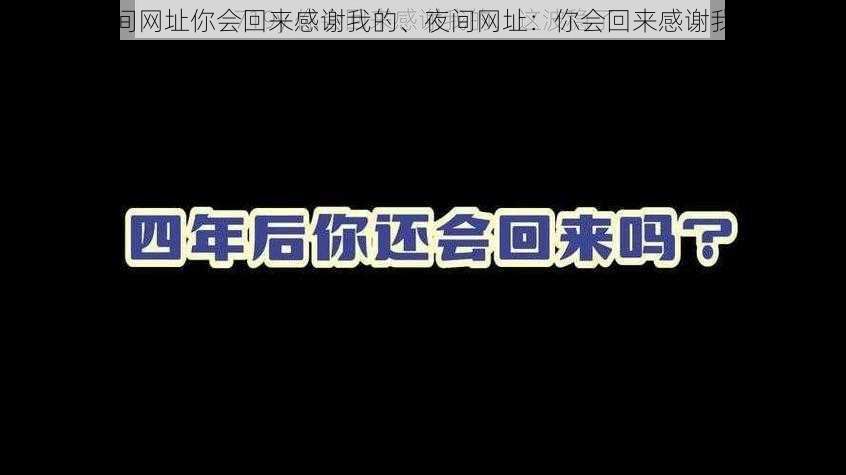 夜间网址你会回来感谢我的、夜间网址：你会回来感谢我的