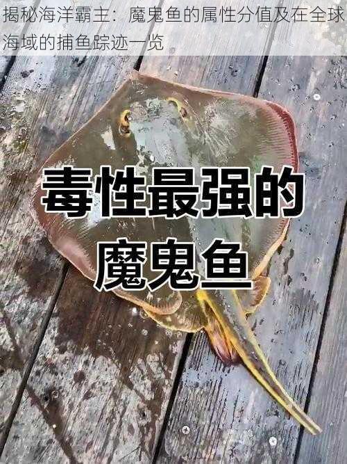 揭秘海洋霸主：魔鬼鱼的属性分值及在全球海域的捕鱼踪迹一览