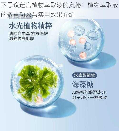 不思议迷宫植物萃取液的奥秘：植物萃取液的多重功效与实用效果介绍