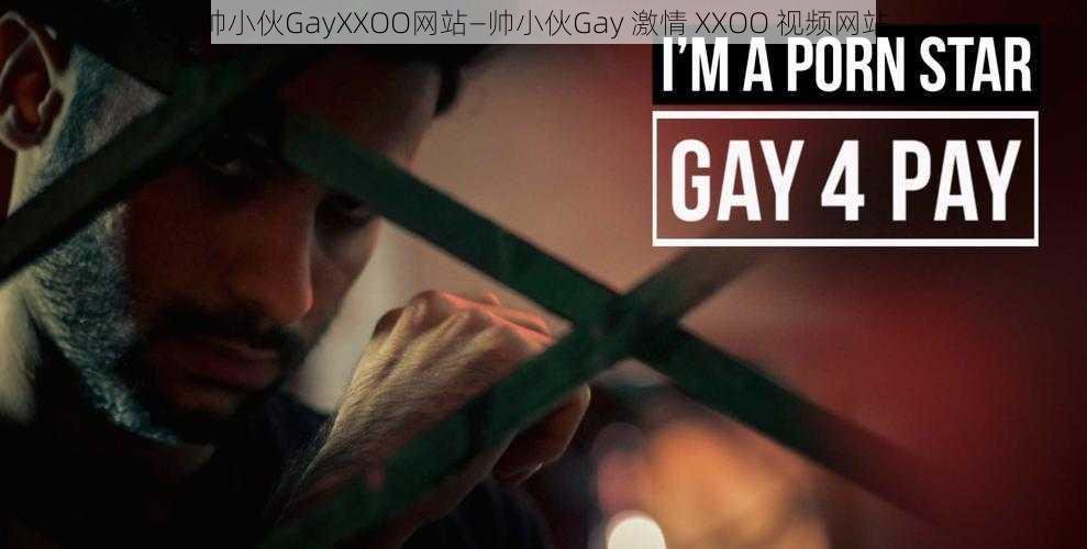 帅小伙GayXXOO网站—帅小伙Gay 激情 XXOO 视频网站