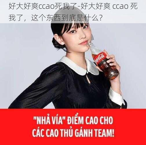 好大好爽ccao死我了-好大好爽 ccao 死我了，这个东西到底是什么？