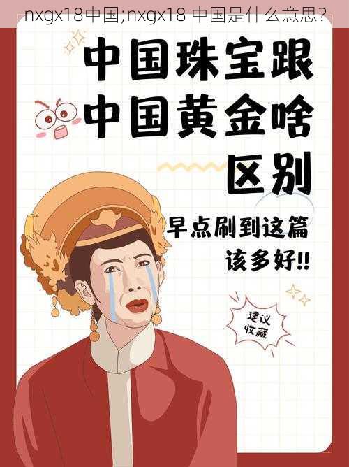 nxgx18中国;nxgx18 中国是什么意思?