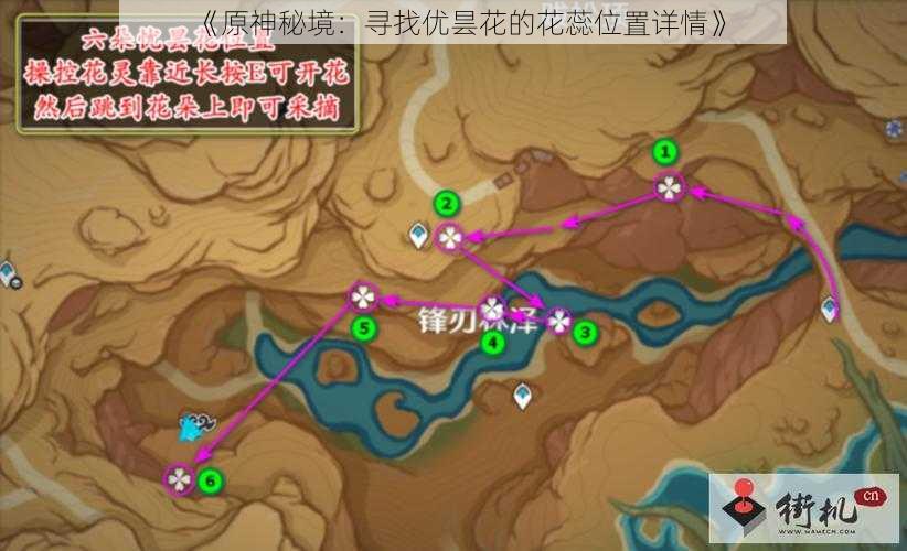《原神秘境:寻找优昙花的花蕊位置详情》