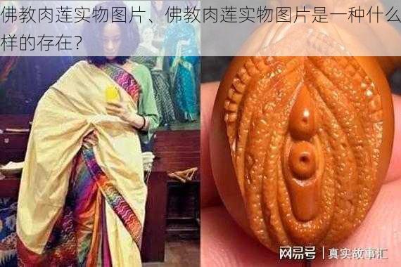 佛教肉莲实物图片、佛教肉莲实物图片是一种什么样的存在?