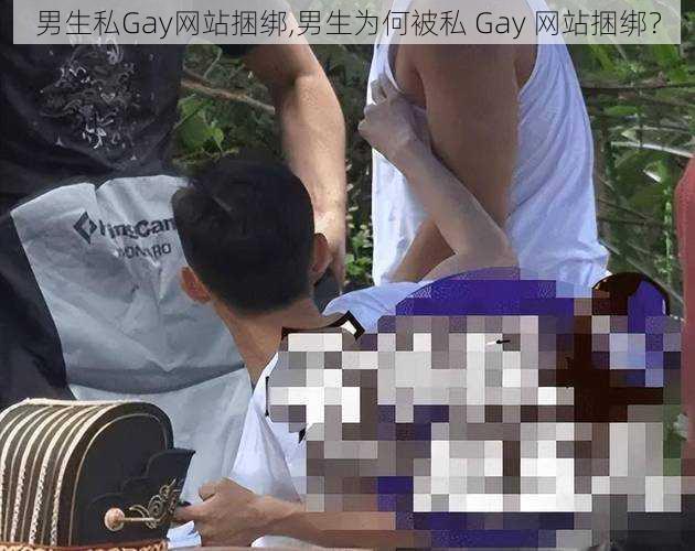 男生私Gay网站捆绑,男生为何被私 Gay 网站捆绑?