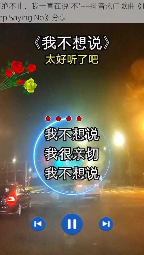 拒绝不止,我一直在说'不'——抖音热门歌曲《I Keep Saying No》分享