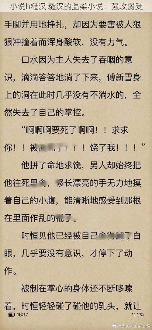 小说h糙汉 糙汉的温柔小说：强攻弱受