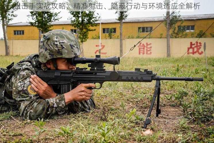 狙击手实战攻略：精准射击、隐蔽行动与环境适应全解析