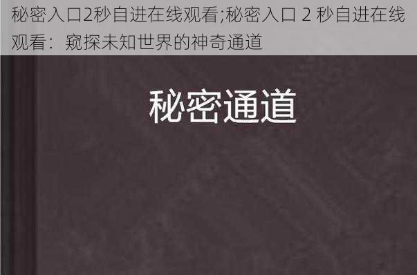 秘密入口2秒自进在线观看;秘密入口 2 秒自进在线观看：窥探未知世界的神奇通道