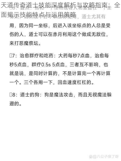 天道传奇道士技能深度解析与攻略指南：全面揭示技能特点与运用策略