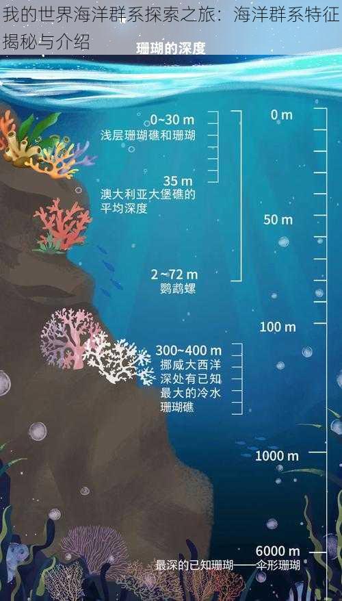 我的世界海洋群系探索之旅：海洋群系特征揭秘与介绍