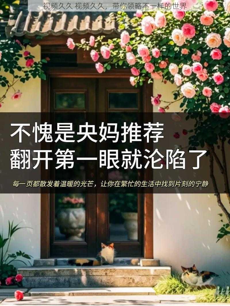 视频久久 视频久久，带你领略不一样的世界