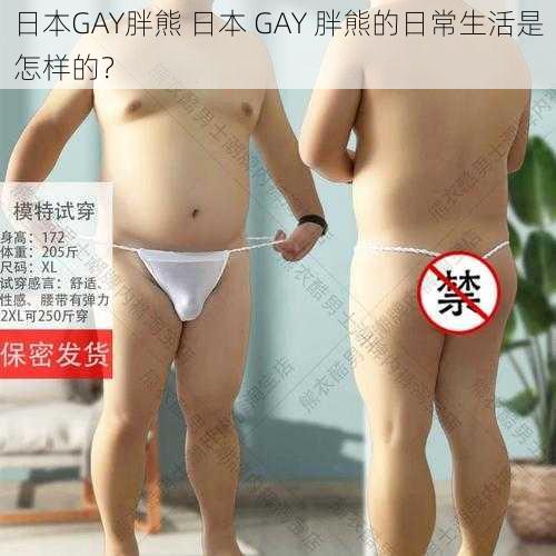 日本GAY胖熊 日本 GAY 胖熊的日常生活是怎样的？